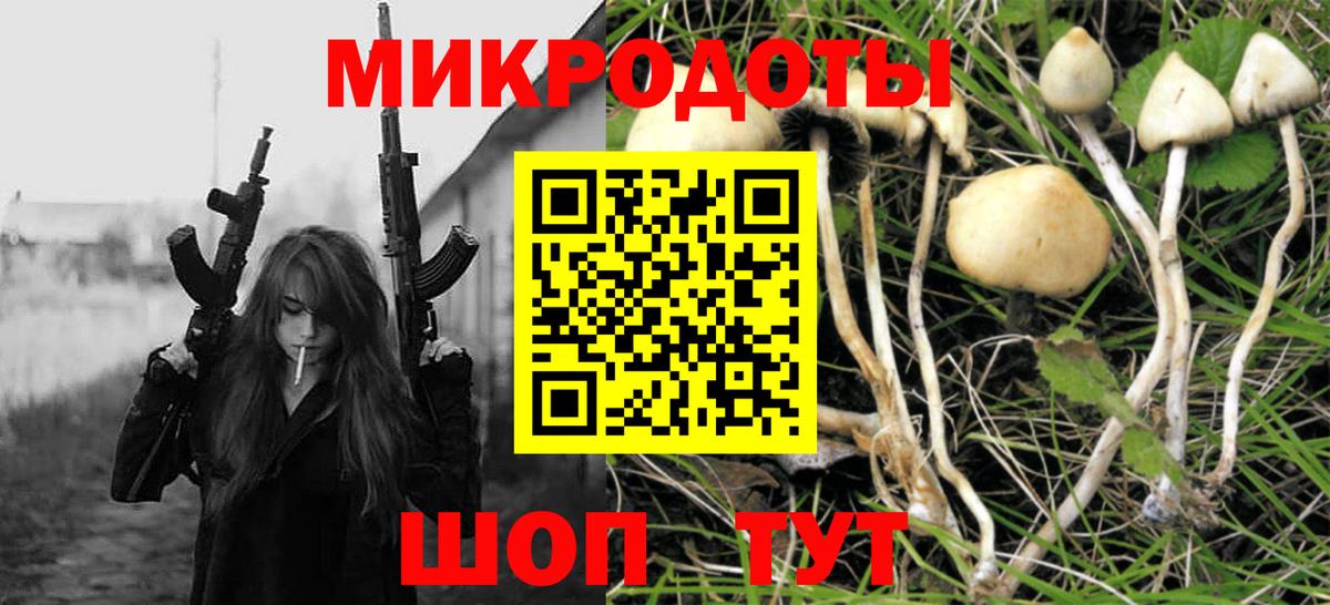 Галлюциногенные грибы MAGIC MUSHROOMS Амурск